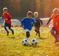 韩旭抵达澳,助力,赛季开启风,捕鱼达人官方在线网站,捕鱼达人3D官方正版,捕鱼达人在线试玩,捕鱼达人3网页版