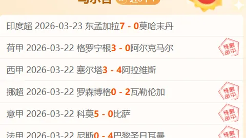 巴爾韋德讚譽貝林厄姆表現卓越，願成皇家馬德里核心領袖
